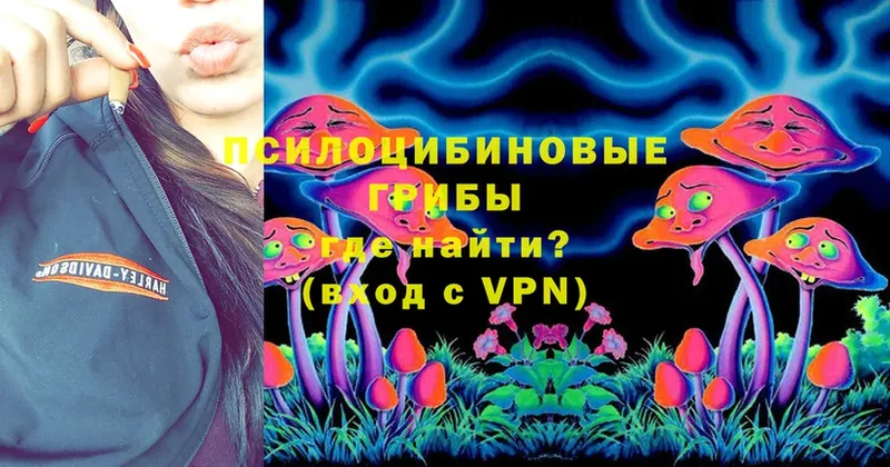 закладки  Далматово  Псилоцибиновые грибы Magic Shrooms 